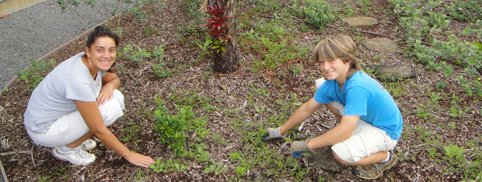 Volunteer Opportunities at HWC