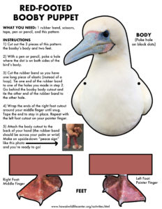 Red Footed Booby Puppet