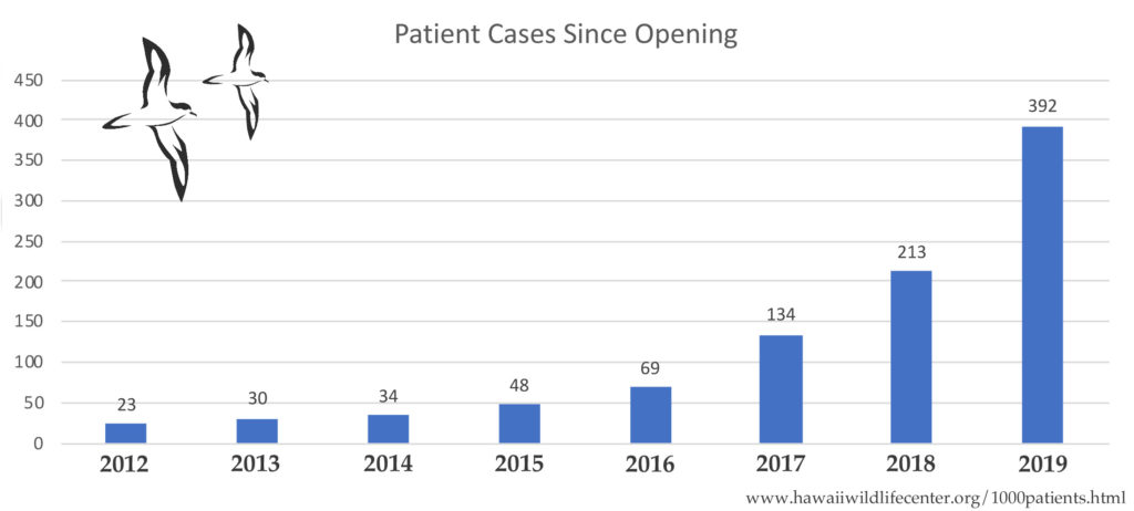 patient cases
