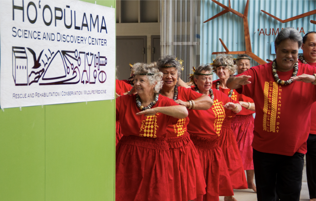 hoopulama opening