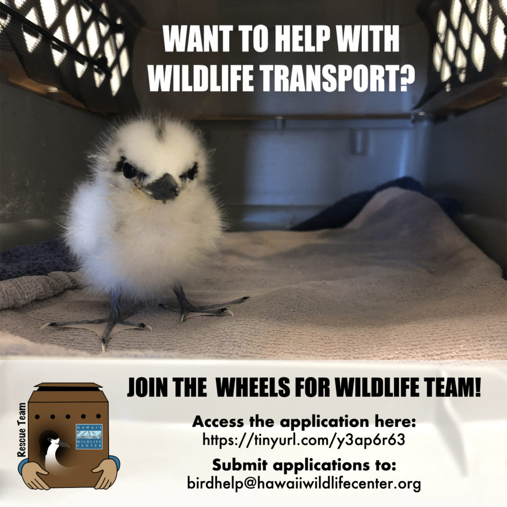 Wheels for wildlife info