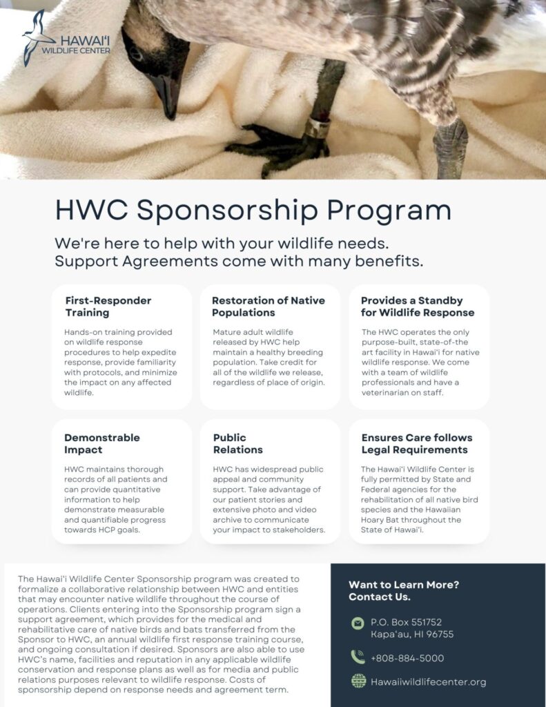 support agreement informational flyer preview