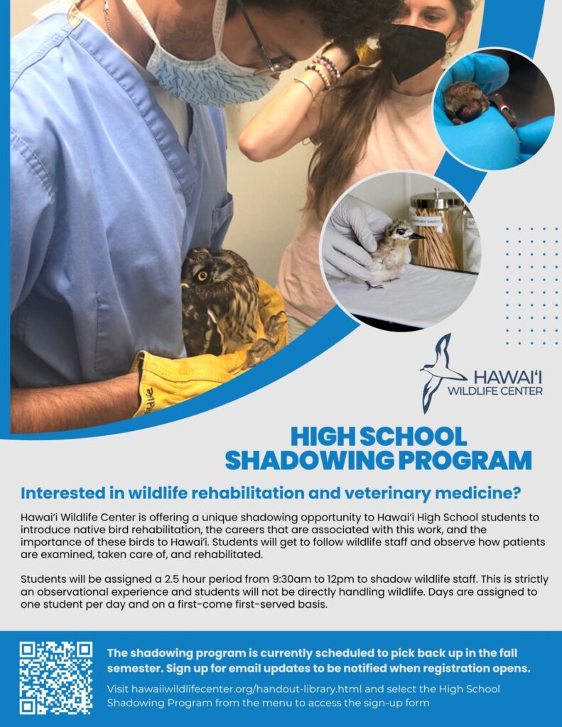 high school shadowing program informational flyer preview
