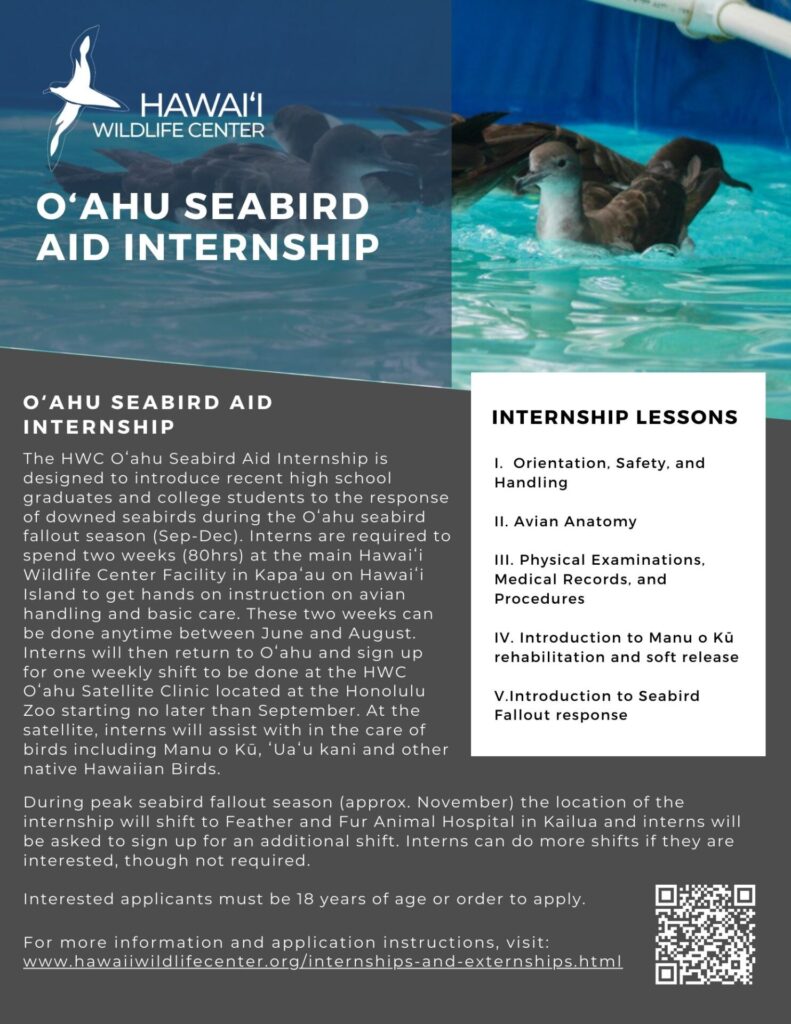 Oahu Seabird Aid internship
