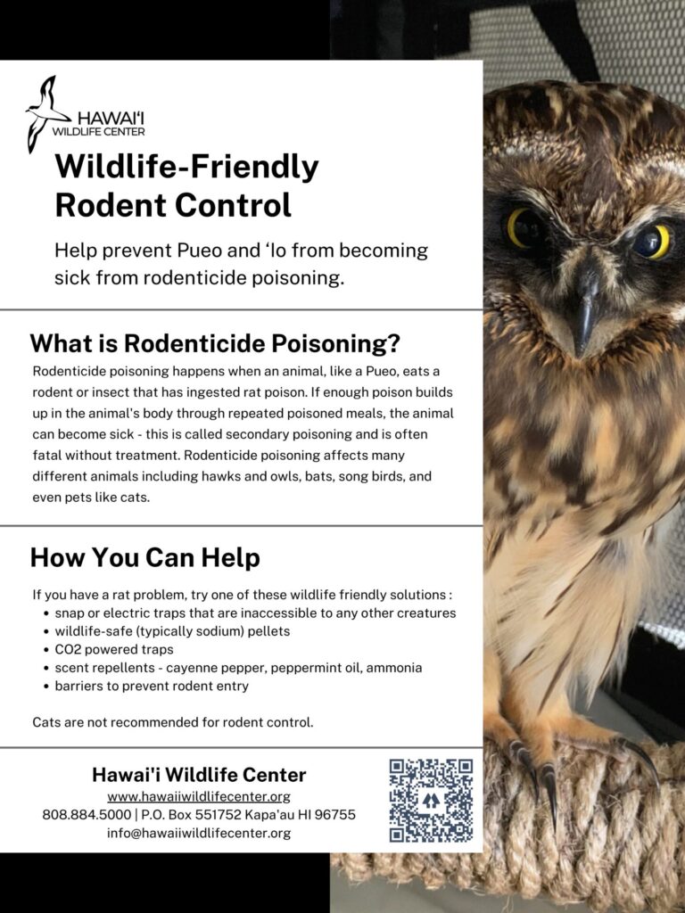 rodent control fact sheet