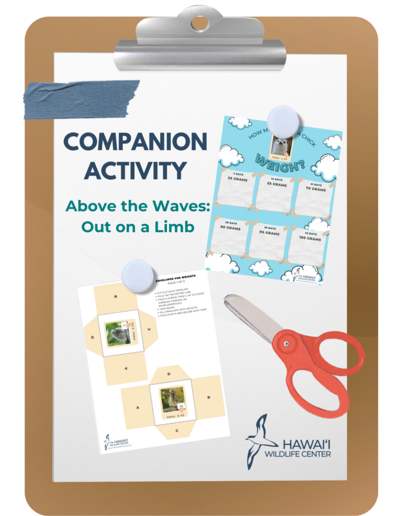companion activity preview out on a limb