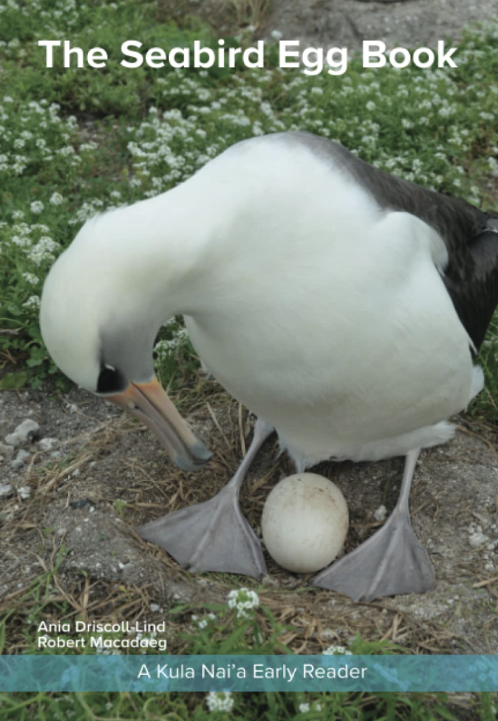 Seabird Egg Book cover